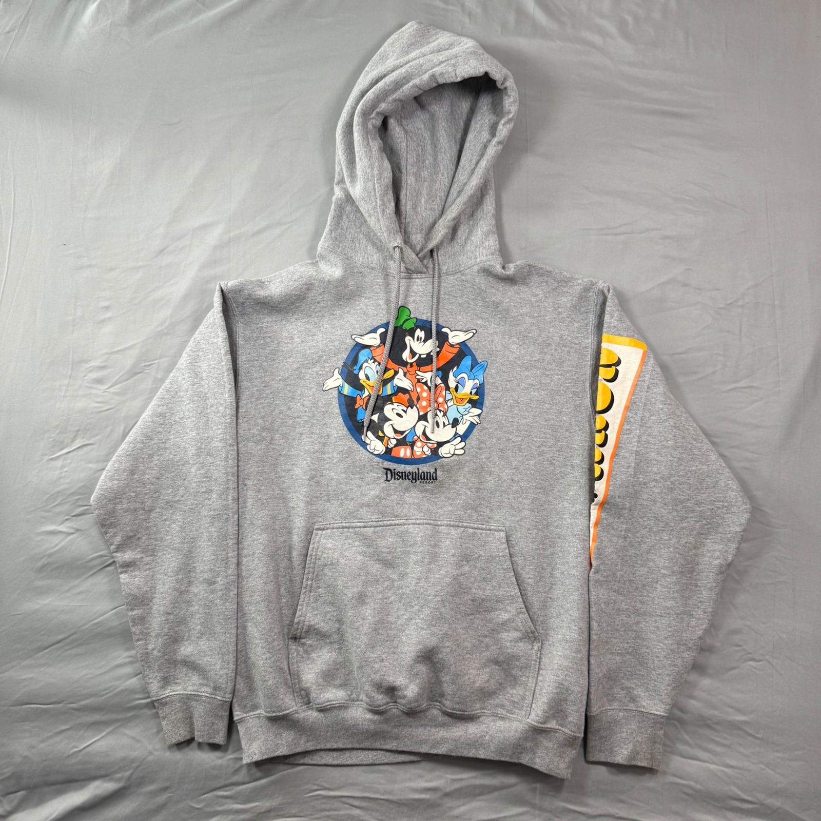 Disney Disneyland Resort 2023 Mickey  Friends Gray Pullover Hoodie Mens M